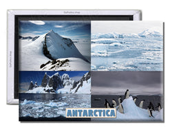 Antarctica - Souvenir Fridge Magnet