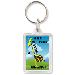 Are You Having A Giraffe? – Keyring