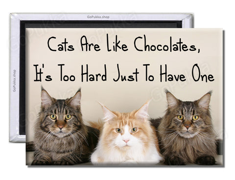 Cats Are Like Chocolates... It's Too Hard Just To Have One.. - Fridge Magnet