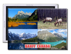 Banff Canada Wildlife - Souvenir Fridge Magnet