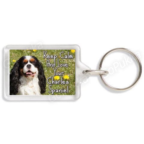 Keep Calm And Love Your Charles Spaniel (Grass) – Keyring